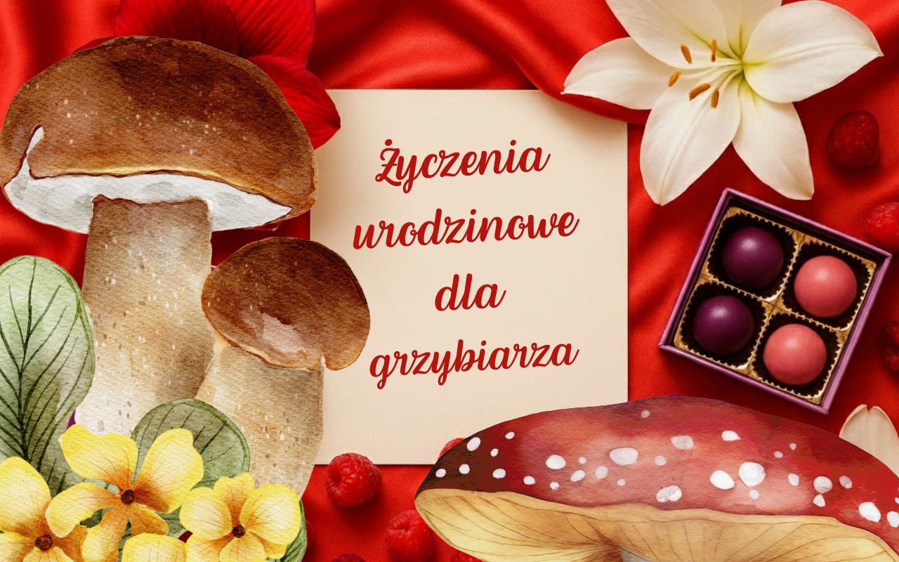 Życzenia urodzinowe dla grzybiarza