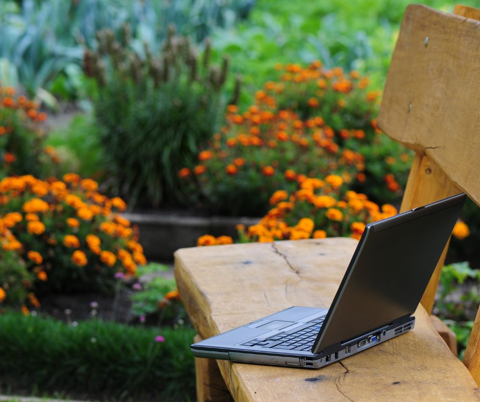 Jak ROA Garden łączy ogrodnictwo z technologią dla najlepszego stosunku jakości do ceny