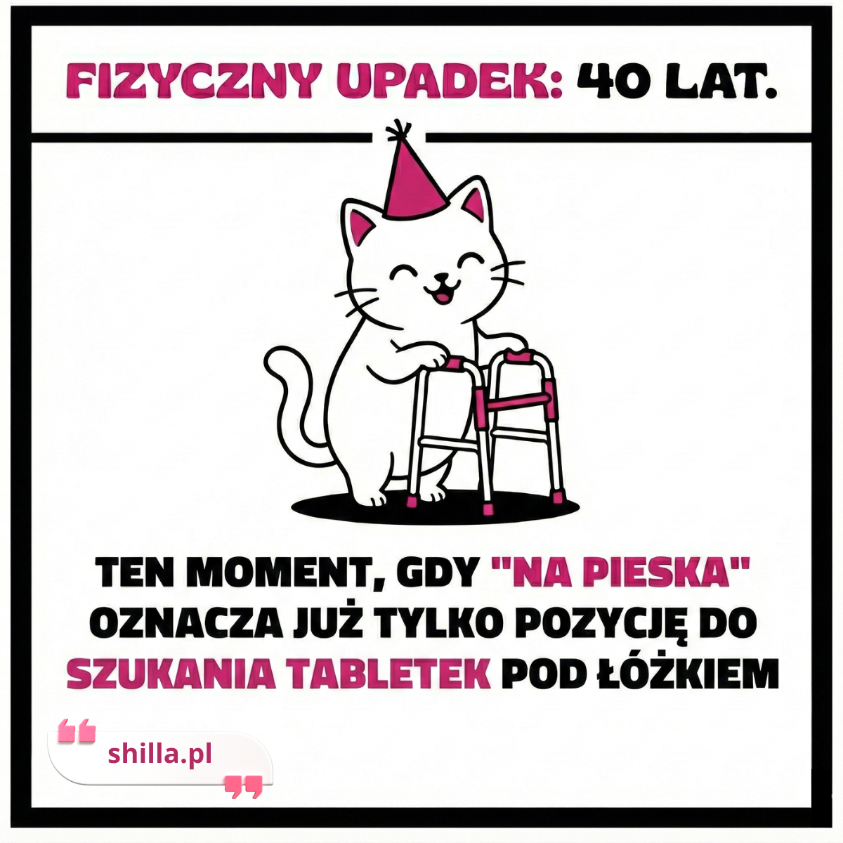 Śmieszny mem na 40 urodziny: Fizyczny upadek. Kot z chodzikiem dla seniora i żart: Ten moment, gdy na pieska oznacza już tylko pozycję do szukania tabletek pod łóżkiem.